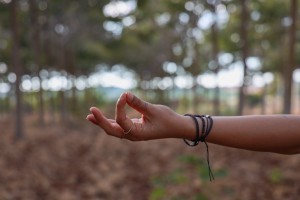 Hand in Meditation