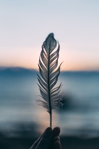 Feather Held Up at Sunset