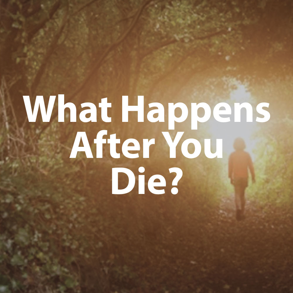 Dolores Cannon Explains Life After Death