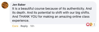 Facebook Testimonial 5