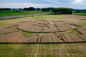 Crop Circle in a Grassy Field