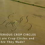 Mysterious Crop Circles
