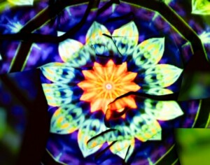 A Projection of Chakra