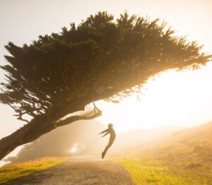 Jumping Under a Tree with Sun