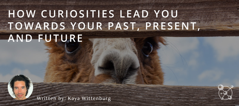 Curiosities Lead You