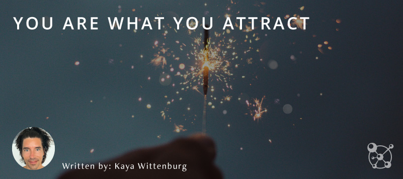 You Are What You Attract