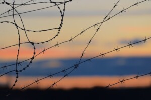 Barbed Wire Fence