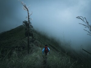 A Guide on a Mountain Top