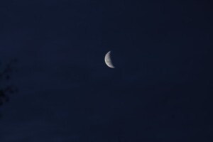 Distant Waning Moon