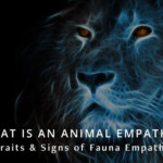 Animal Empath Signs