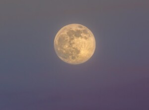 A Full Moon on Purple Sky