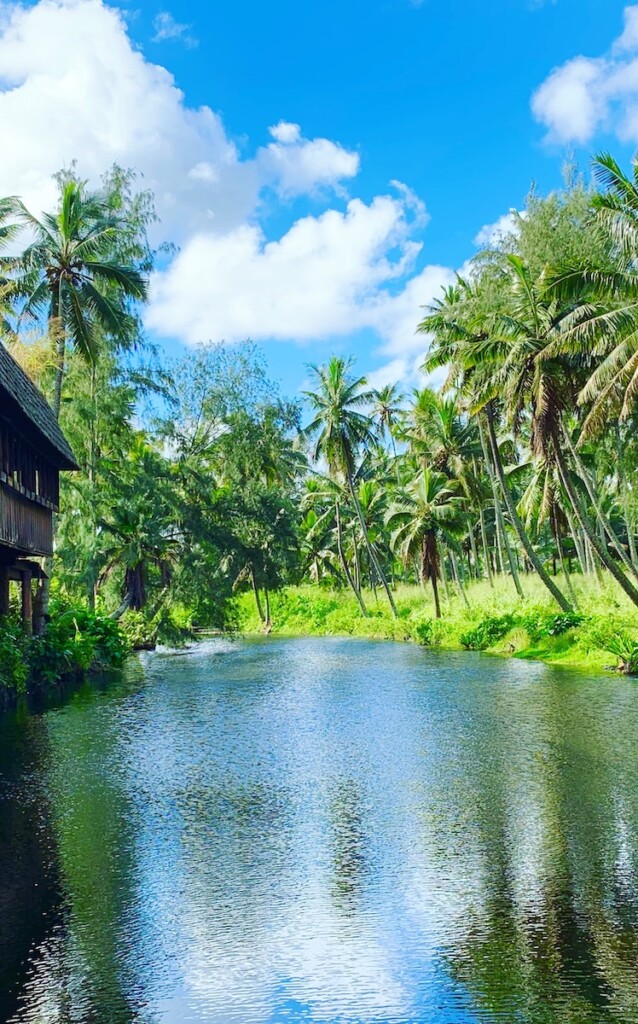 A Pond in Kauai