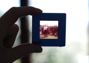 Old Projector Slide Photo