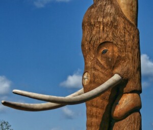 Totem of an Elephant