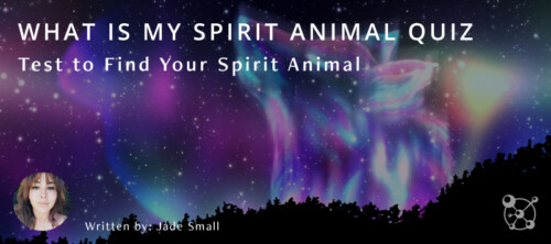 What is My Spirit Animal Quiz: Test to Find Your Spirit Animal