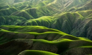 Grassy Green Hills on Earth
