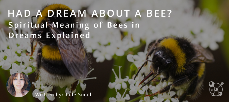 Spiritual Meaning of Bees