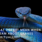 What does it mean when you dream about snakes?