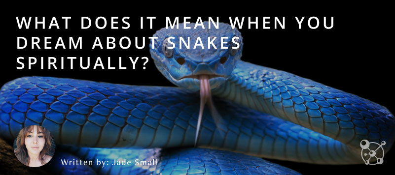 What Does it Mean When You Dream About Snakes Spiritually?