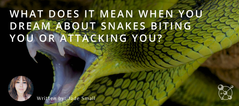 What Does it Mean When You Dream About Snakes Biting You or Attacking You?