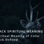 Spiritual Meaning of Black