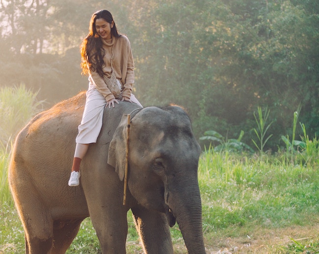 Elephant Riding in Thailand