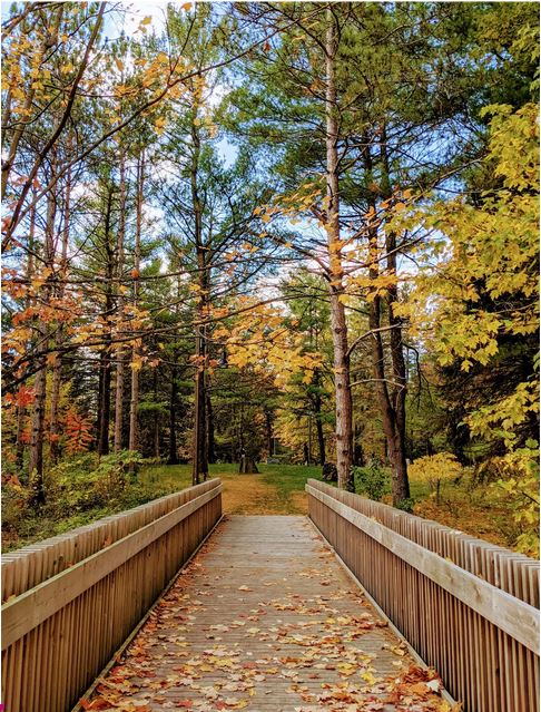 Wooden Bridge in Woodbridge Ontario Canada