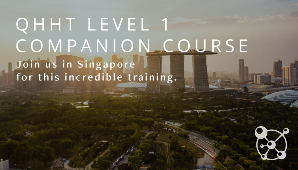 L1 Companion Singapore