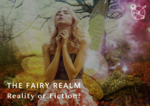The Fairy Realm