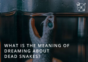What does it mean to dream about dead snakes?