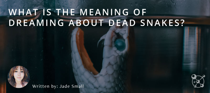 What does it mean to dream about dead snakes?