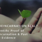 Is Reincarnation Real?