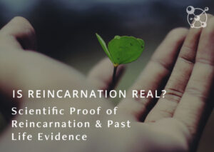 Is Reincarnation Real?