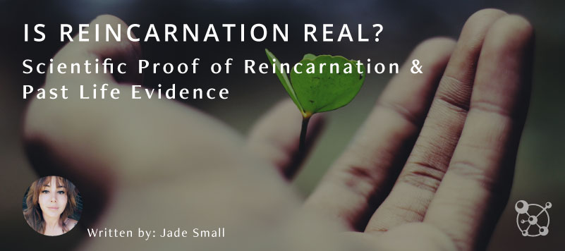 Is Reincarnation Real?