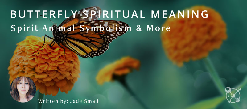 Butterfly Spiritual Meaning