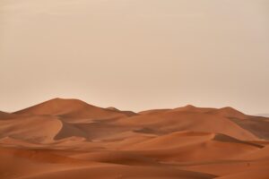 A Brown Desert