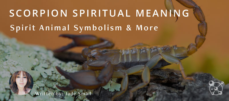 Scorpion Spiritual Meaning