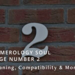 Numerology Soul Urge Number 2