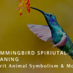 Hummingbird Spiritual Meaning