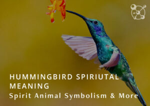 Hummingbird Spiritual Meaning
