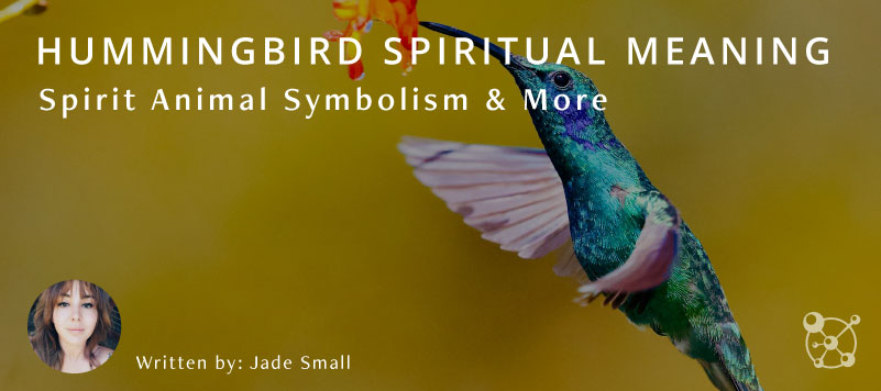 Hummingbird Spiritual Meaning