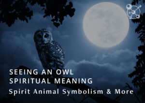 Owl Spiritual Meaning