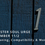 Soul Urge Number 11