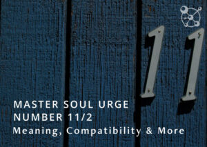 Soul Urge Number 11