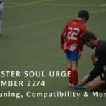 Soul Urge Number 22