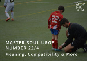 Soul Urge Number 22