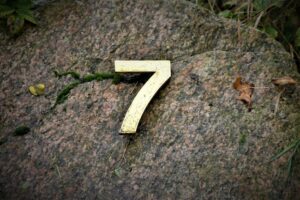 7 on a Rock
