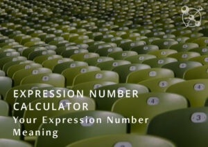 Expression Number Calculator